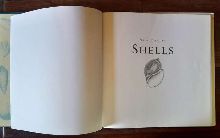 New Crafts - Shells
