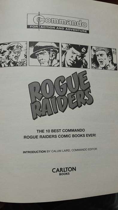 Rogue Raiders