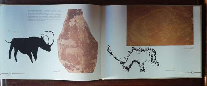 Rock Engravings of Southern Africa