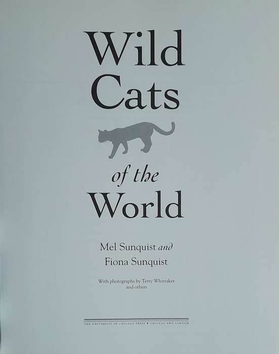 Wild Cats of the World