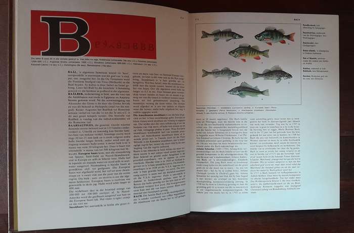 Wereldfokus -  volledige stel van 16 boeke