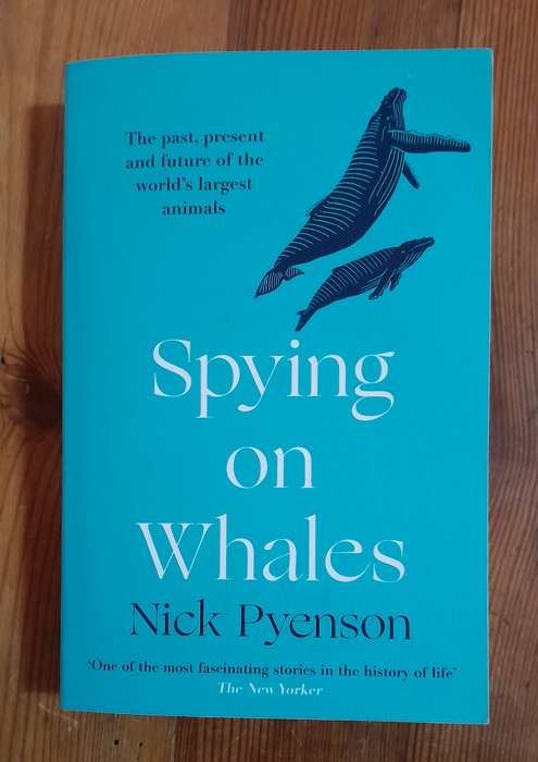 Spying on Whales