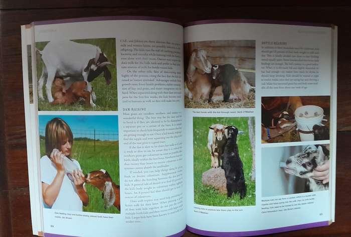 How to Raise Goats