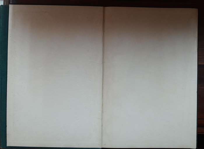 Cartoons of the Great War 1916-1917 & 1917-1918-1919 - Mac (signed)