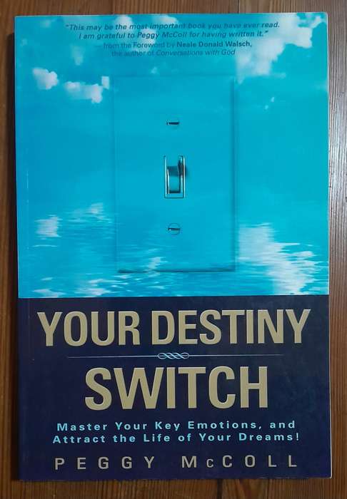 Your Destiny Switch