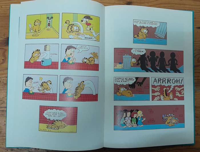 The Garfield Super Gallery