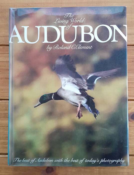 The Living World of Audubon