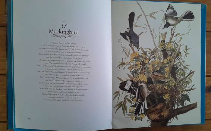 The Living World of Audubon