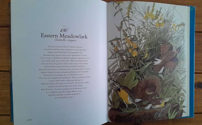 The Living World of Audubon