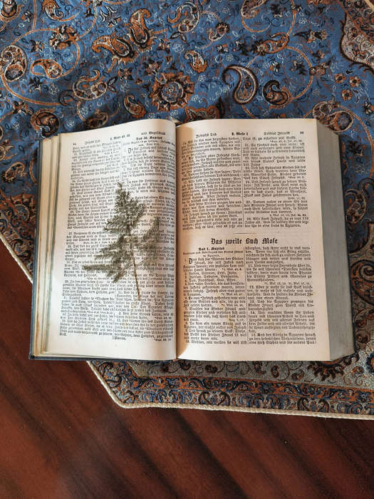 Antique German WWII Bible (Wedding Bible, 1939)  Preußische Hauptbibelgesellschaft, Berlin