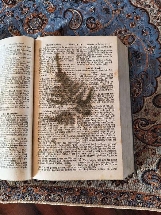 Antique German WWII Bible (Wedding Bible, 1939)  Preußische Hauptbibelgesellschaft, Berlin