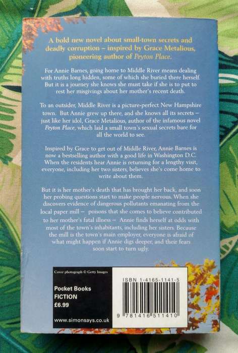 Looking for Peyton Place by Barbara Delinsky