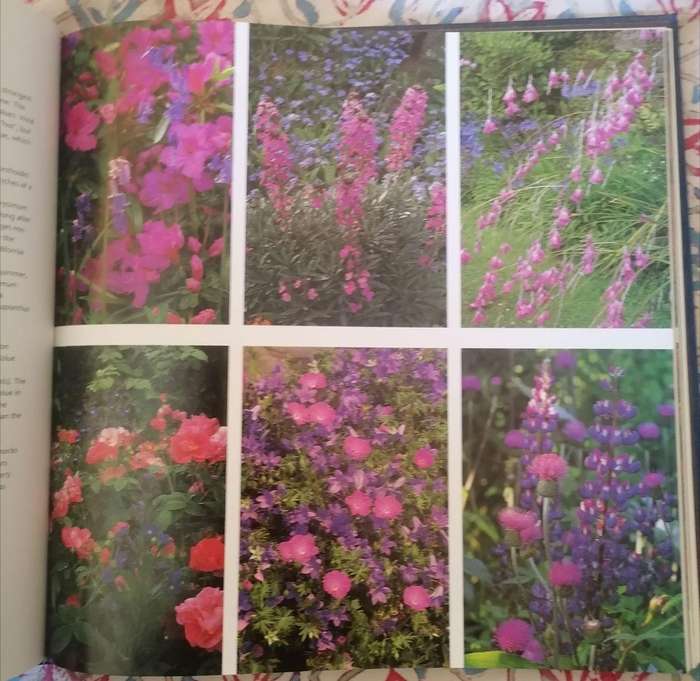 The Gardener's Book of Colour by Andrew Lawson