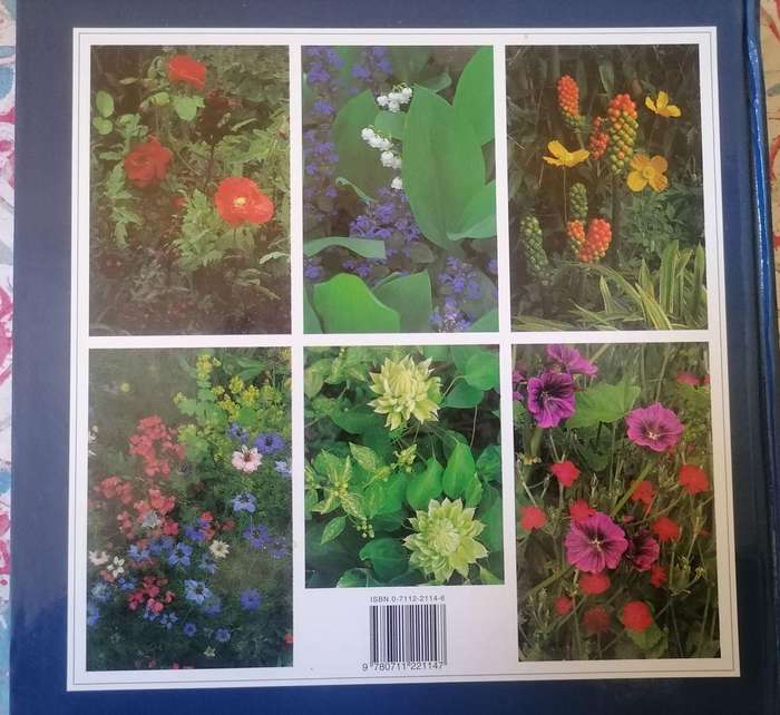 The Gardener's Book of Colour by Andrew Lawson