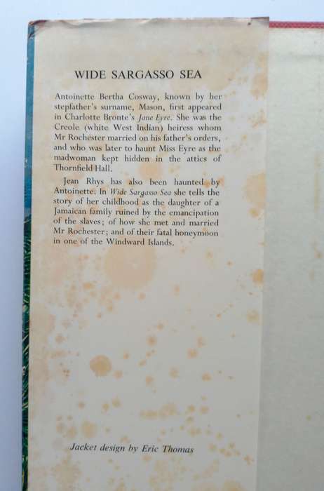 Wide Sargasso Sea by Jean Rhys