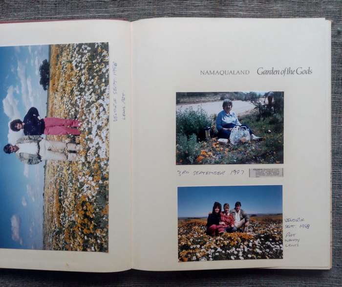 Namaqualand - Garden of the Gods by Freeman Patterson