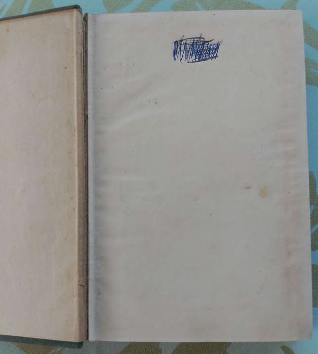 Peter the Whaler by William H.G. Kingston