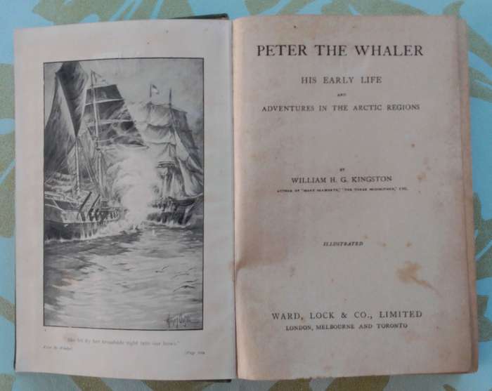 Peter the Whaler by William H.G. Kingston