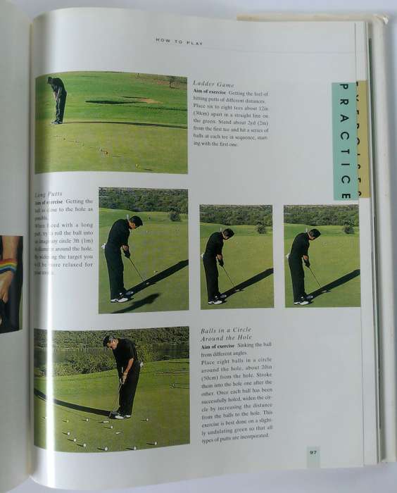 Faults and Fixes by David Leadbetter
