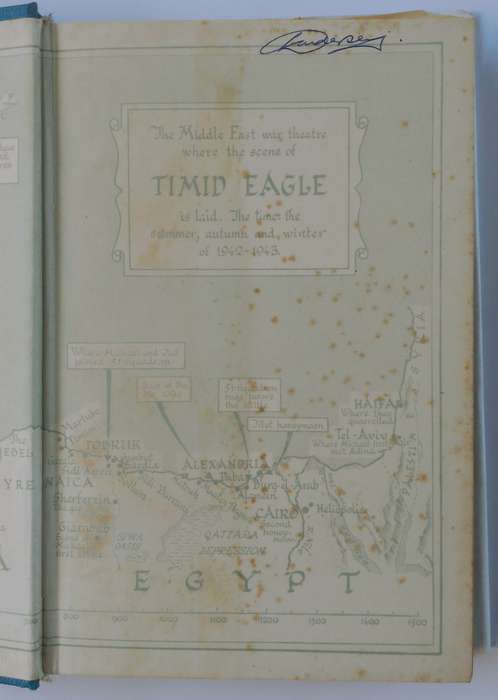 Timid Eagle by Christopher Kavanagh