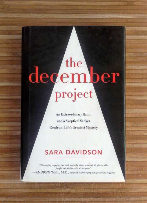 The December Project by Sara Davidson