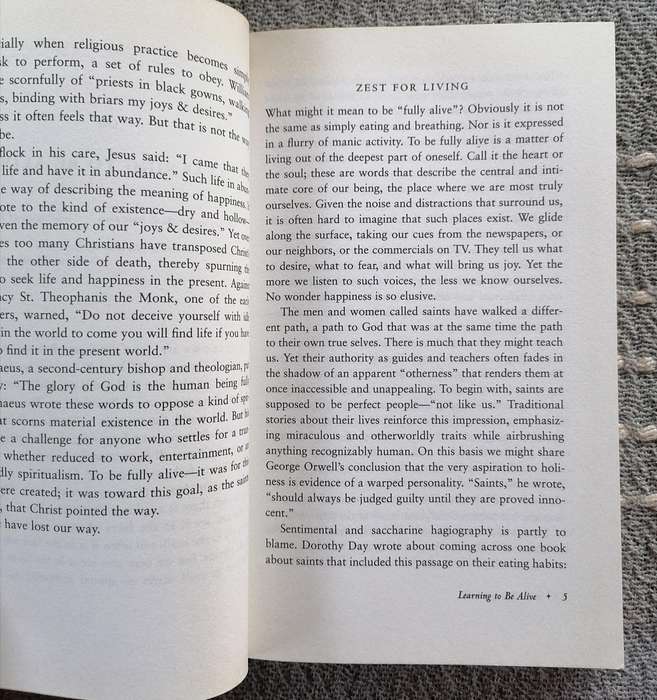 The Saints Guide to Happiness by Robert Ellsberg