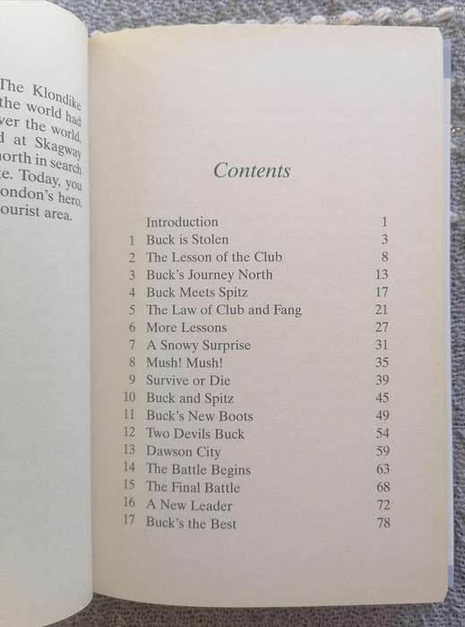 The Indigo Children by Lee Carroll and Jan Tober