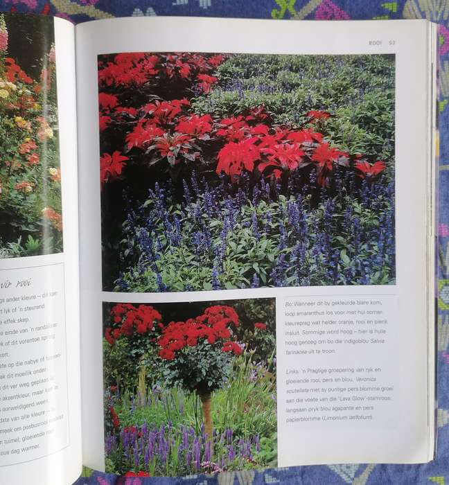 Kleur vir jou Tuin - Nancy Gardiner