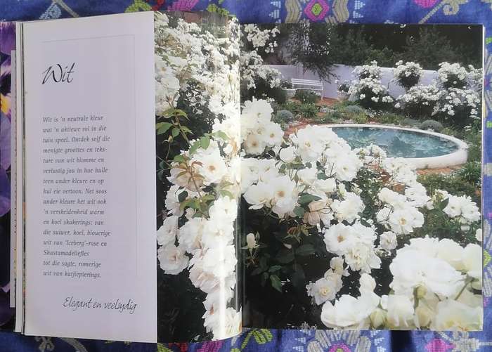Kleur vir jou Tuin - Nancy Gardiner