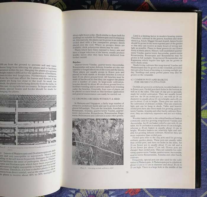 Orchids - Their Cultivation and Hybridization by Lee Chew Kang
