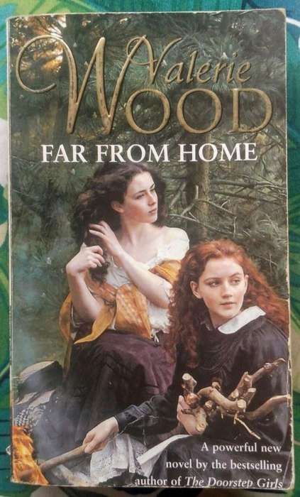 Far From Home by Valerie Wood