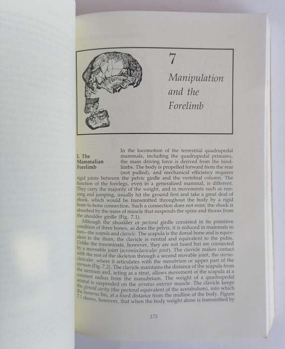 Human Evolution by Bernard Campbell (Third Edition)