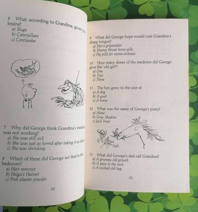 Road Dahl Quiz Book