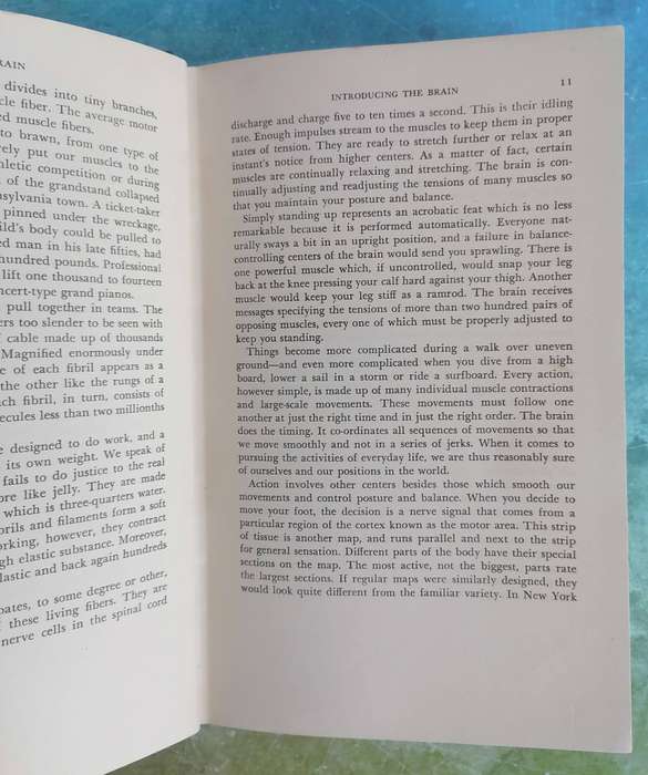 The Human Brain by John Pfeiffer