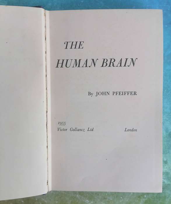 The Human Brain by John Pfeiffer