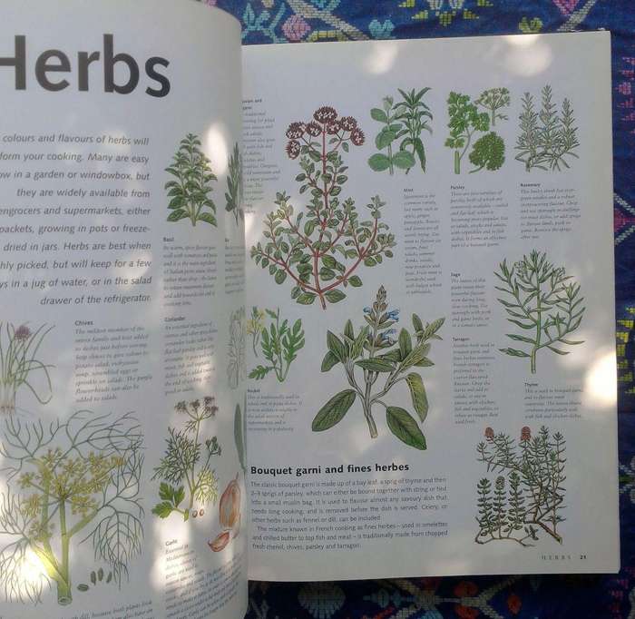 The Hamlyn Cookbook