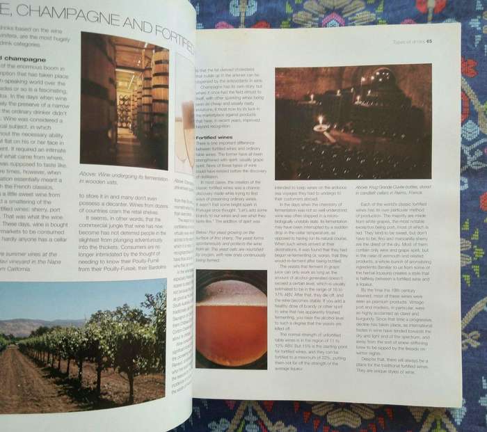 The Ultimate Book of Cocktails by Stuart Walton