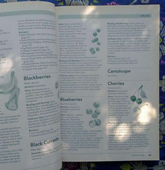 The Vegan Cook's Bible by Pat Crocker