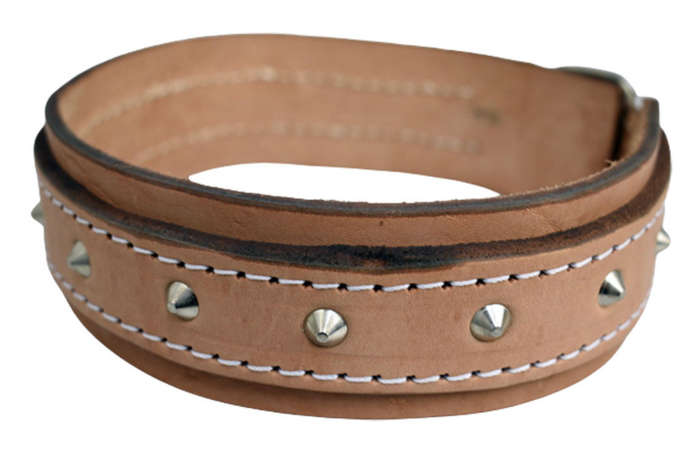 Investify Leather Bull Dog Collar Reinforced #30 50mm x 750mm