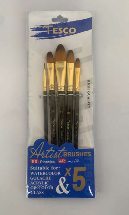 Paint Brushes - Art & Craft  - (5 pcs one pack)