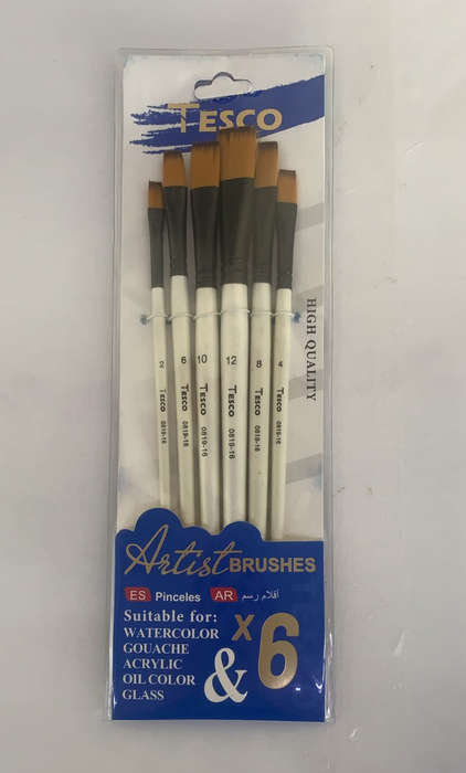 Paint Brushes - Art & Craft  - (6 pcs one pack)