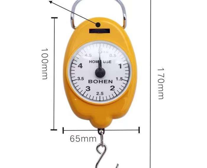 Portable scale