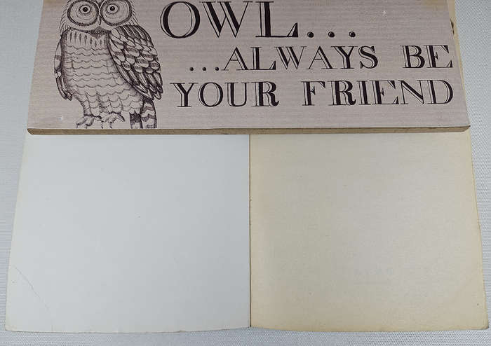 BLIND DATE WITH A BOOK - Fiction/Romance/Chick Lit
