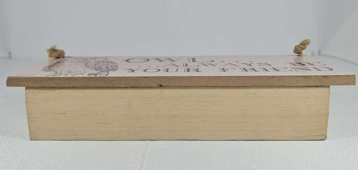 BLIND DATE WITH A BOOK - Fiction/Romance/Chick Lit