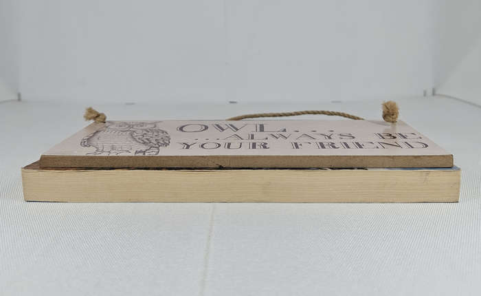 BLIND DATE WITH A BOOK - Fiction/Young Adult/South Africa