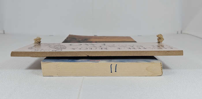 BLIND DATE WITH A BOOK - Fiction/Young Adult/South Africa