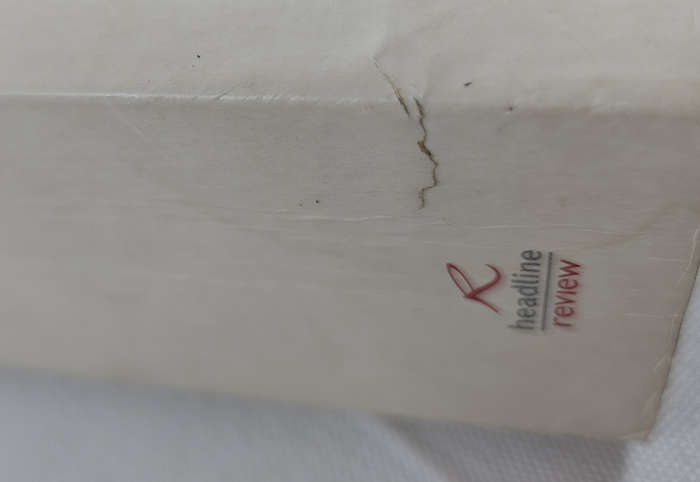 BLIND DATE WITH A BOOK - Fiction/Romance/Chick Lit
