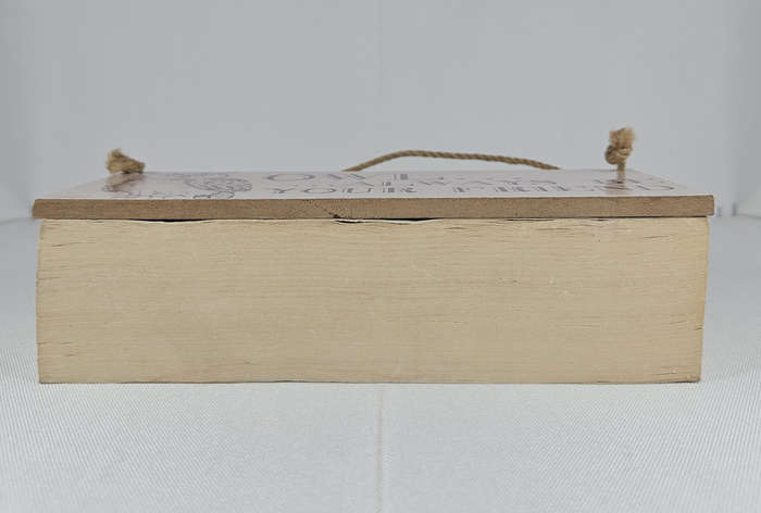 BLIND DATE WITH A BOOK - Fiction/Romance/Chick Lit
