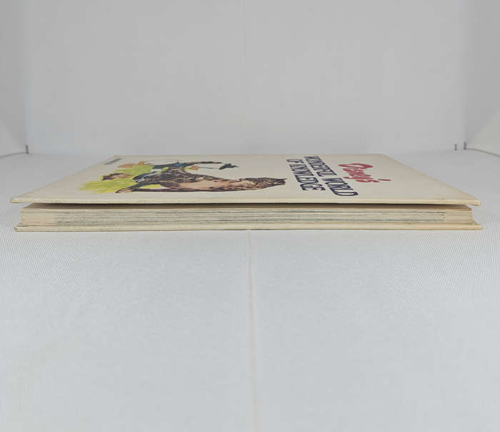 Disney's Wonderful World of Knowledge: Animals (Book 1) by Sergio Frugis - Hardback