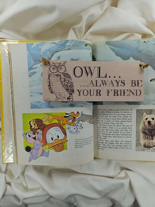 Disney's Wonderful World of Knowledge: Animals (Book 1) - Hardback